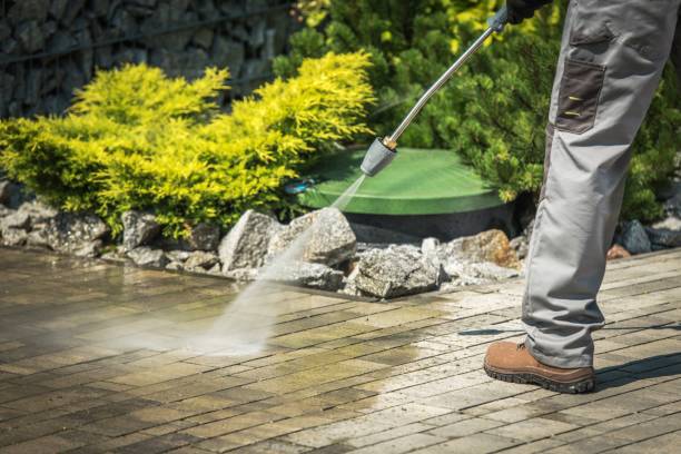 Best Roof Washing  in Ortonville, MN