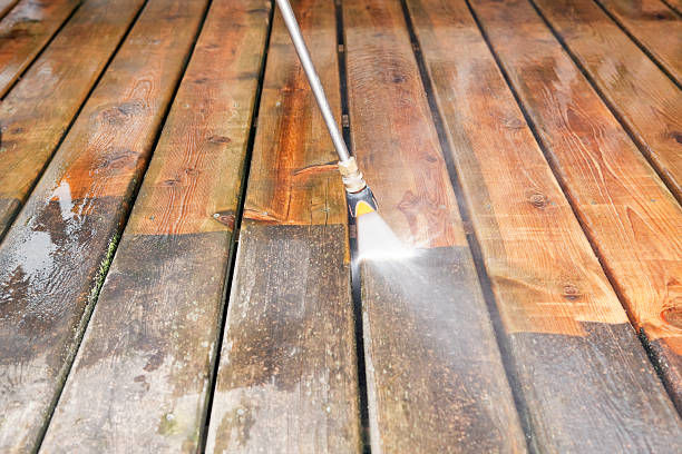 Best Fence Cleaning  in Ortonville, MN