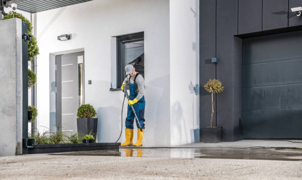 Best Graffiti Removal  in Ortonville, MN